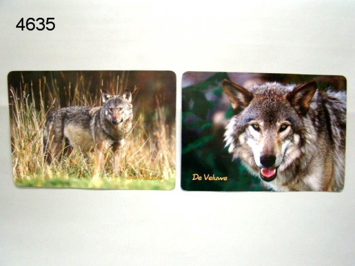Placemats wolf