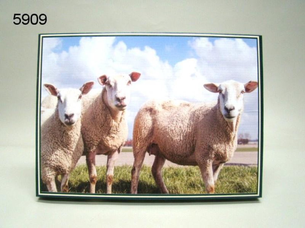 Legpuzzel schaap