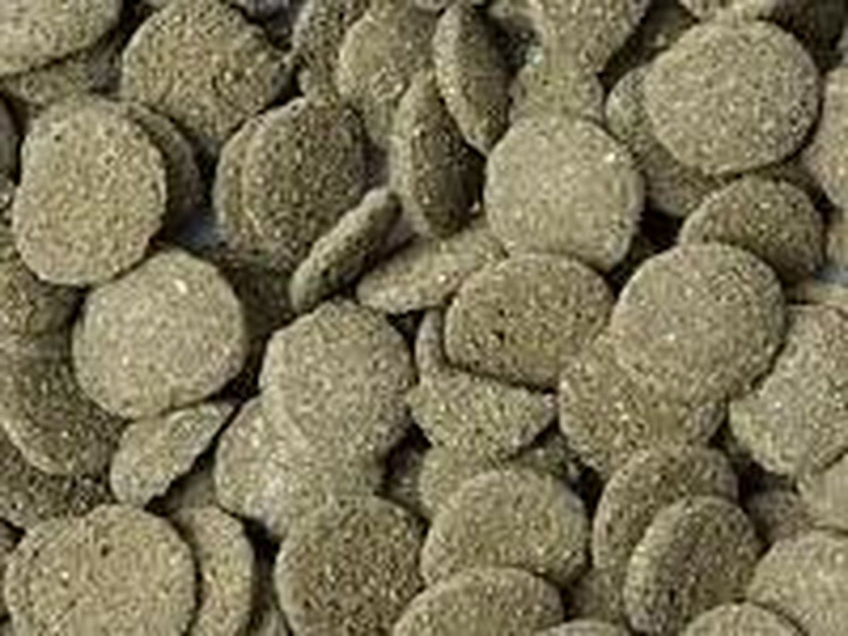 Vivani visvoer Algen Wafels 1 Kg