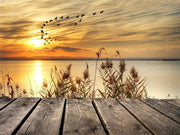 Ren4Shop© Diamond painting volwassenen 40 x 30cm Zonsondergang - steiger - vogels - zee - uitzicht - complete set - Ronde steentjes