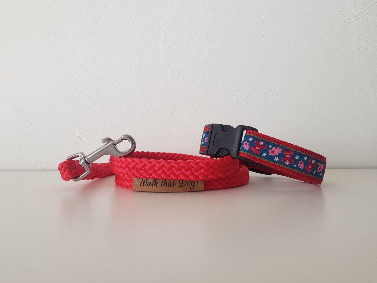 Puppyset | Puppyhalsband | Lijn | Handgemaakt | Walk that Dog! | Engeltjes rood