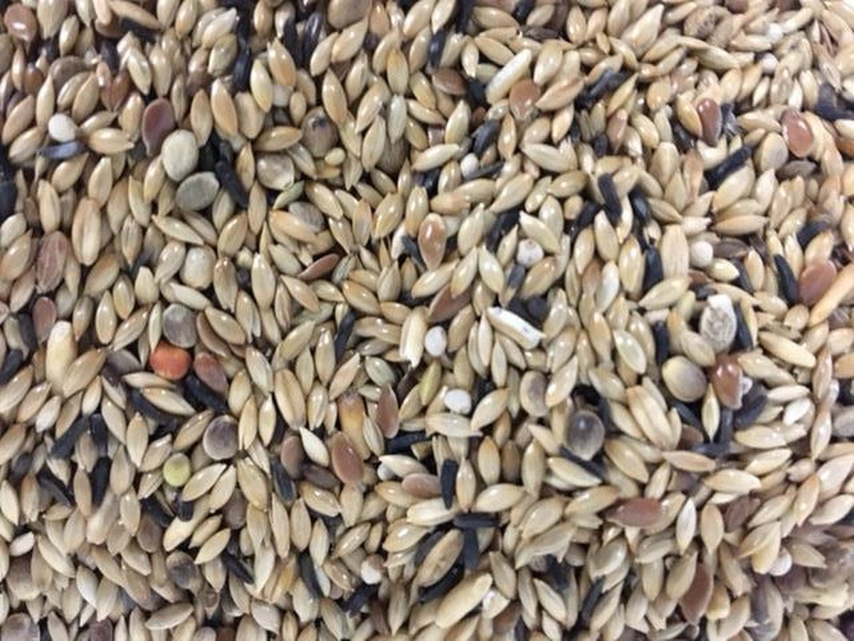 Deli Nature kanarie zonder raapzaad - 5kg