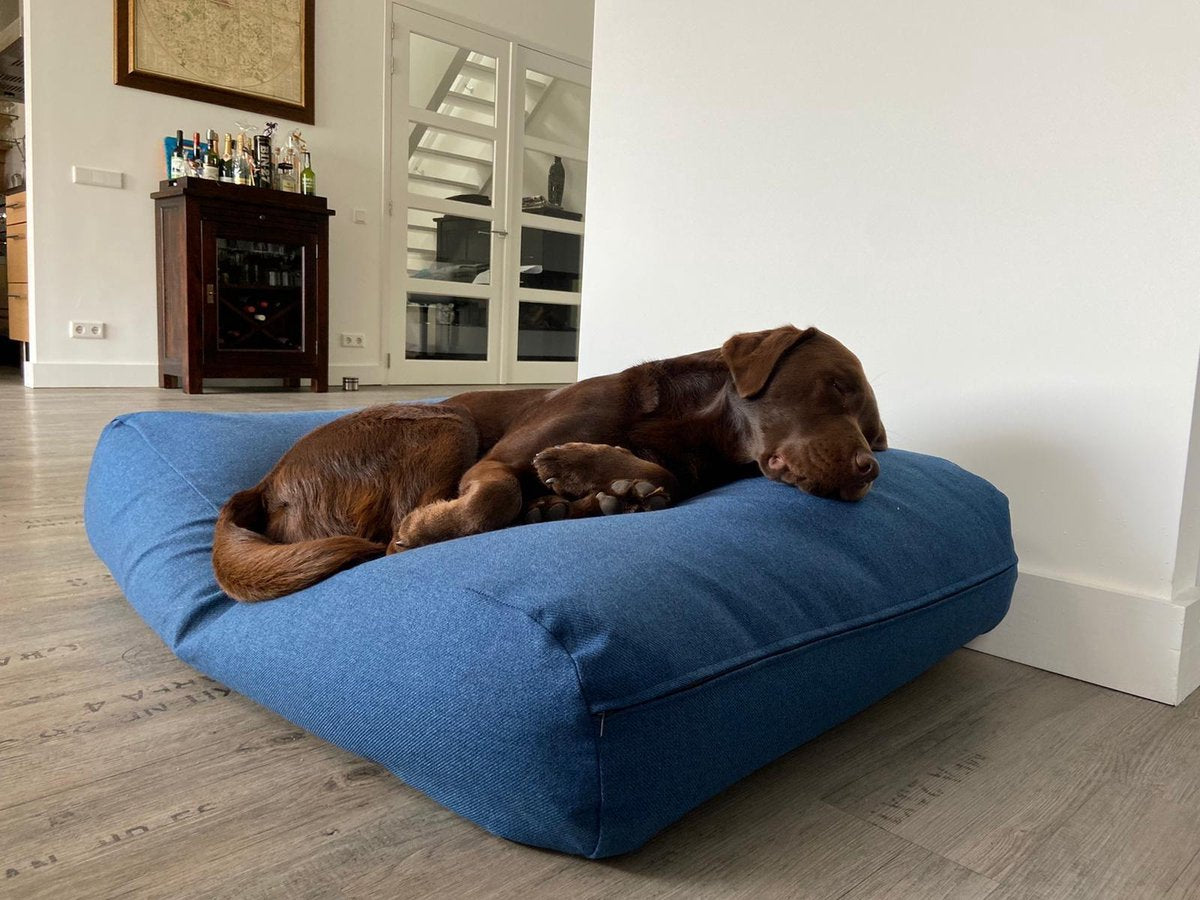 Dog's Companion hondenkussen - M - 90 x 70 cm - Strong Vancouver blue