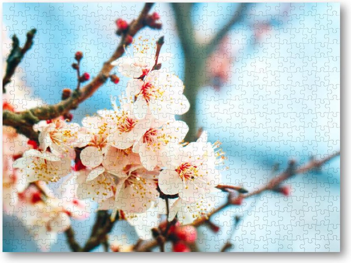 Abrikozenboom met prachtig gekleurde bloemen - 500 Stukjes puzzel voor volwassenen - Natuur - Bloemen