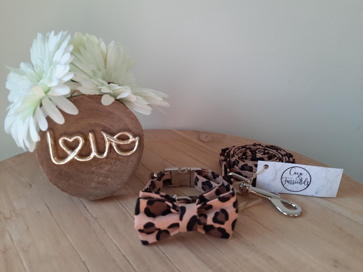 Panter - Honden halsband en leiband set met vlinderdas - Small - Coco&Furriends