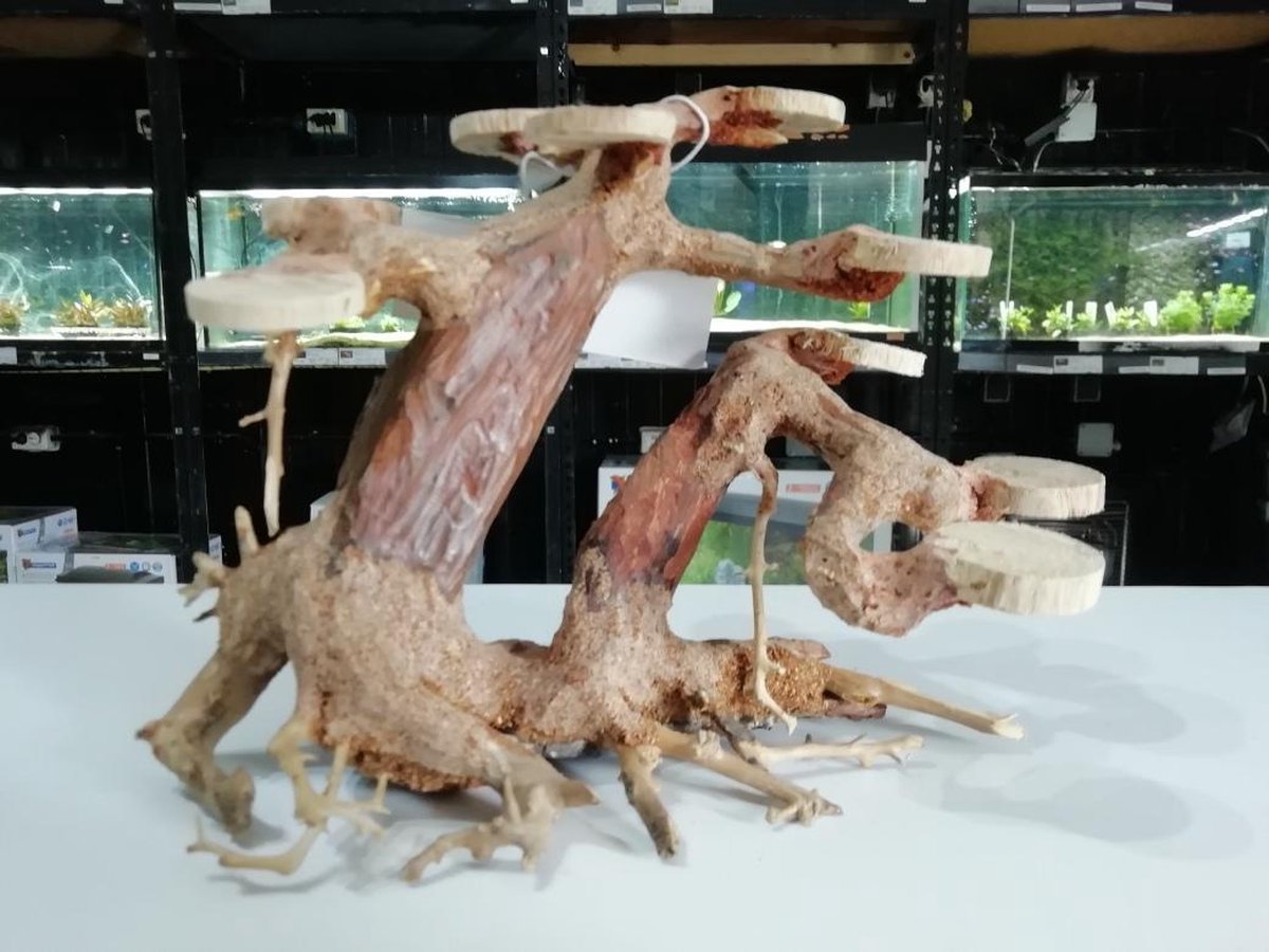 Bonsai Planter Medium aquaria