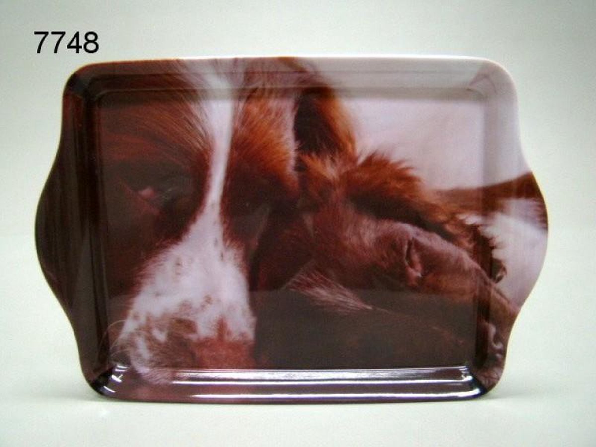 dienblad hond met pup