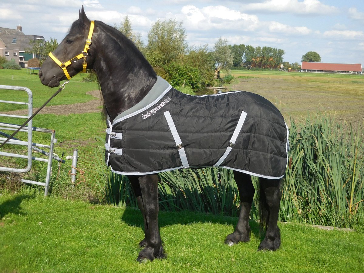 Staldeken luxe met fleecekraag (300gr) goedkopepaardendekens zwart met grijs  - maat 205