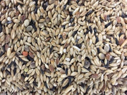 Garvo kanarie zonder raap 5371 - 1kg