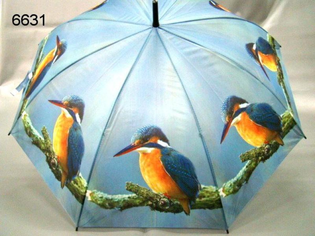 Paraplu ijsvogel