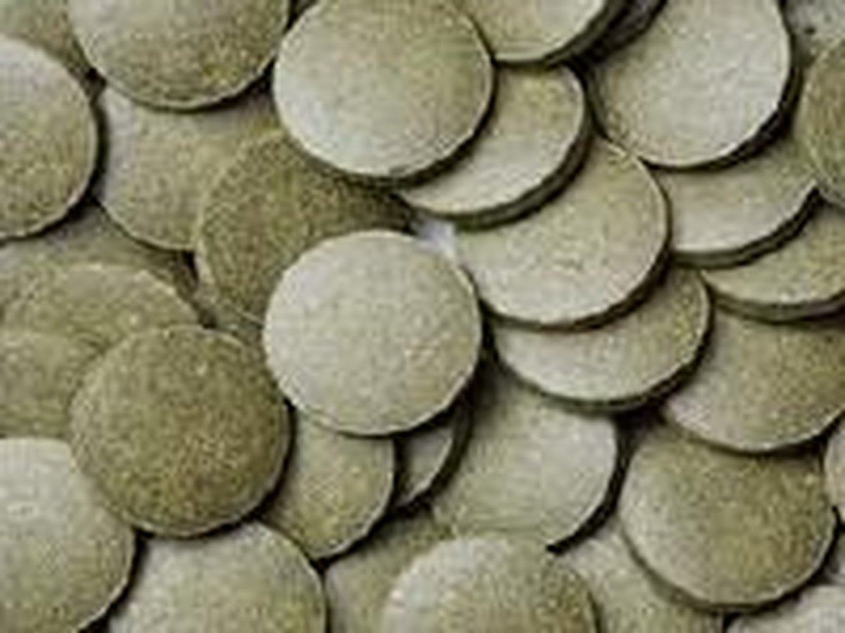 Vivani visvoer Jumbo Bodemtabletten Spirulina 36% Ø 2