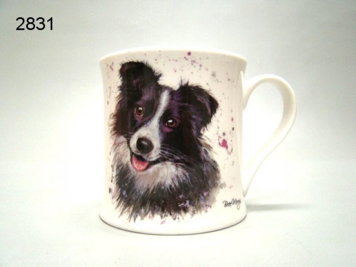 Mok Border Collie