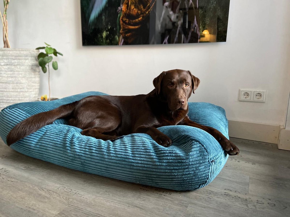 Dog's Companion hondenkussen - S - 70 x 50 - giant ribcord - petrol