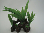 Easy plants wood Microsorium 22cm