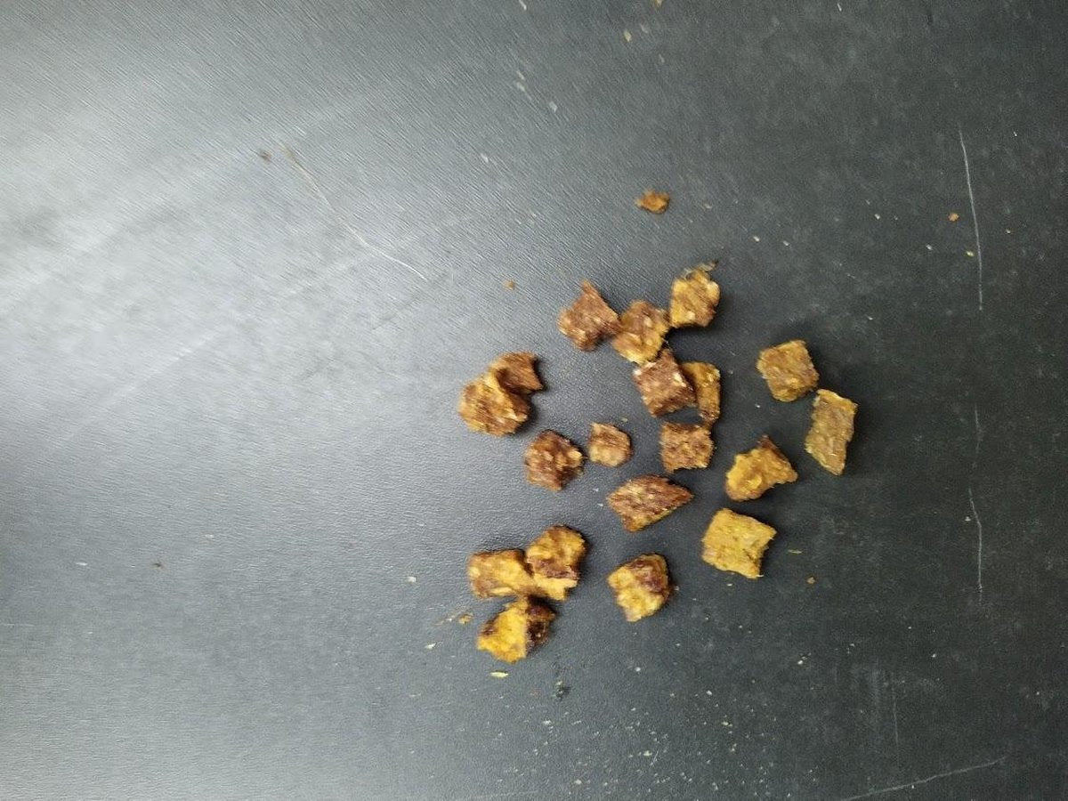Eend bites training snoep hapjes brokken voor hond 10x80gr potjes van de snackmeester 100% natuurlijk natural naturel