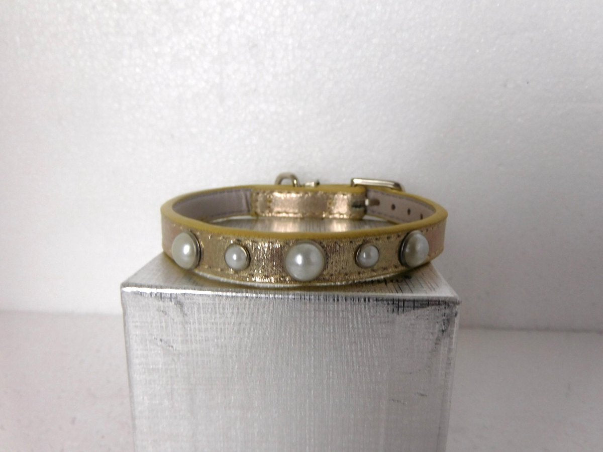 Schattige honden halsband