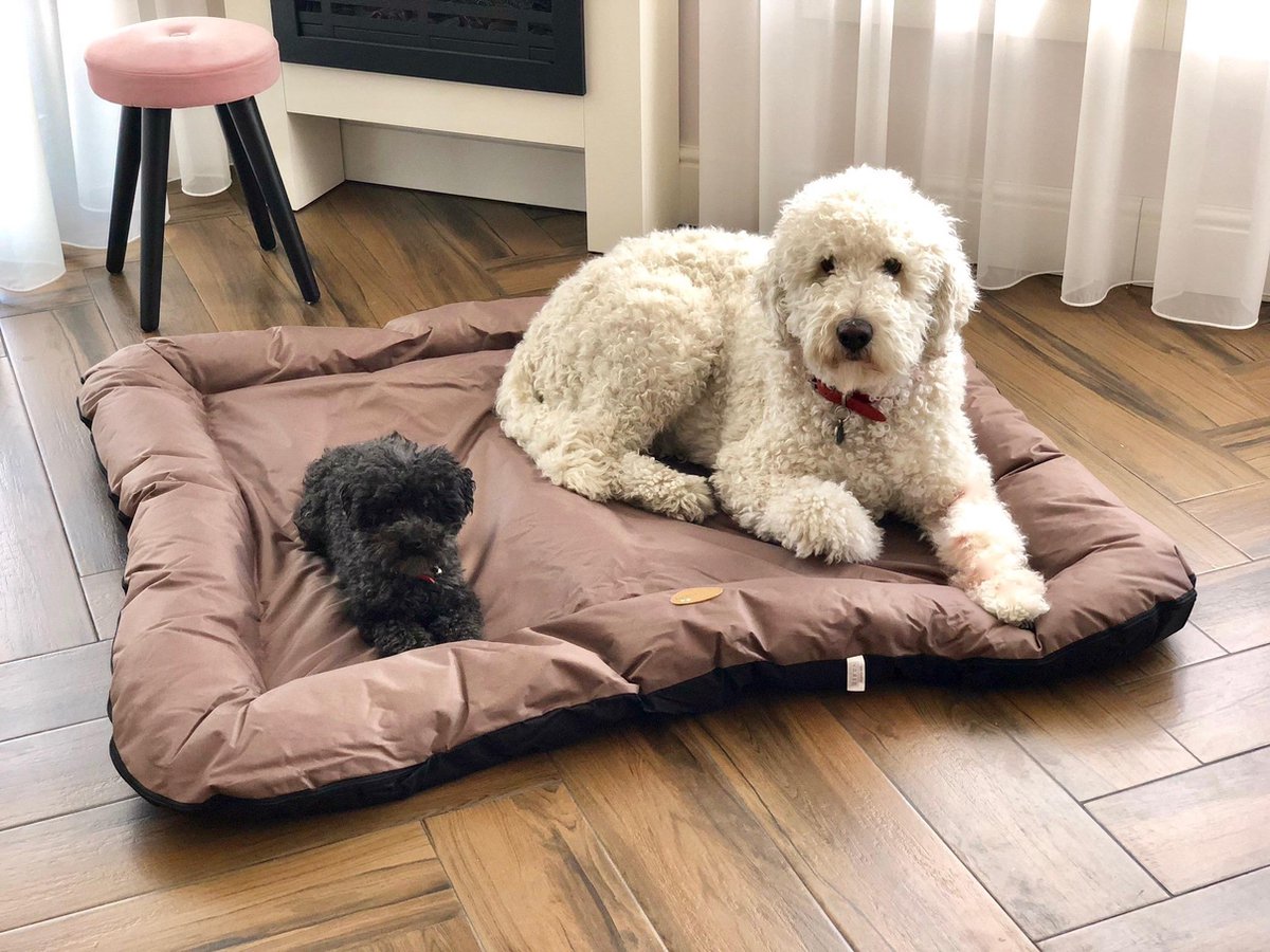 Meisterpet hondenbed/hondenmand Choco/ Zwart XXXL (135*120*15 cm) W04