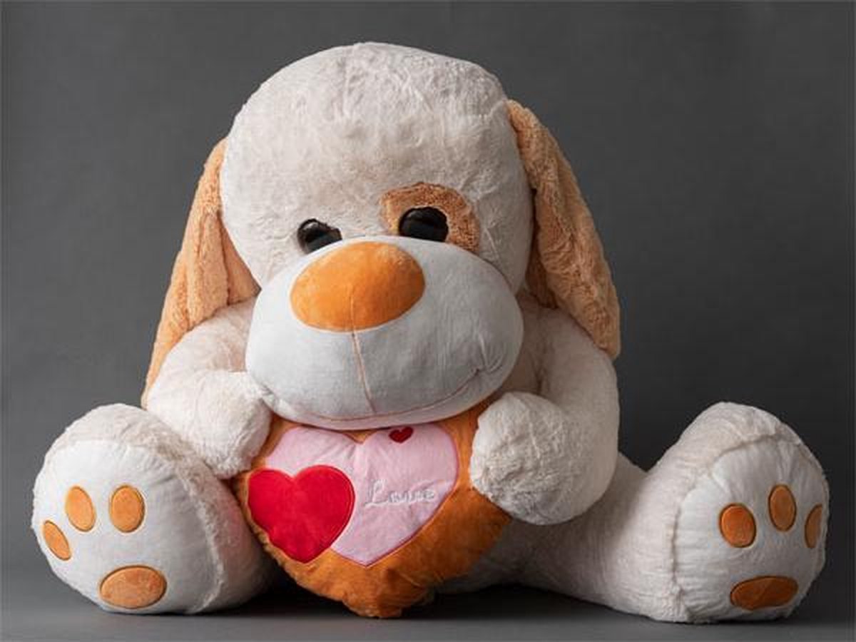L28 - knuffel hond - hart 80cm