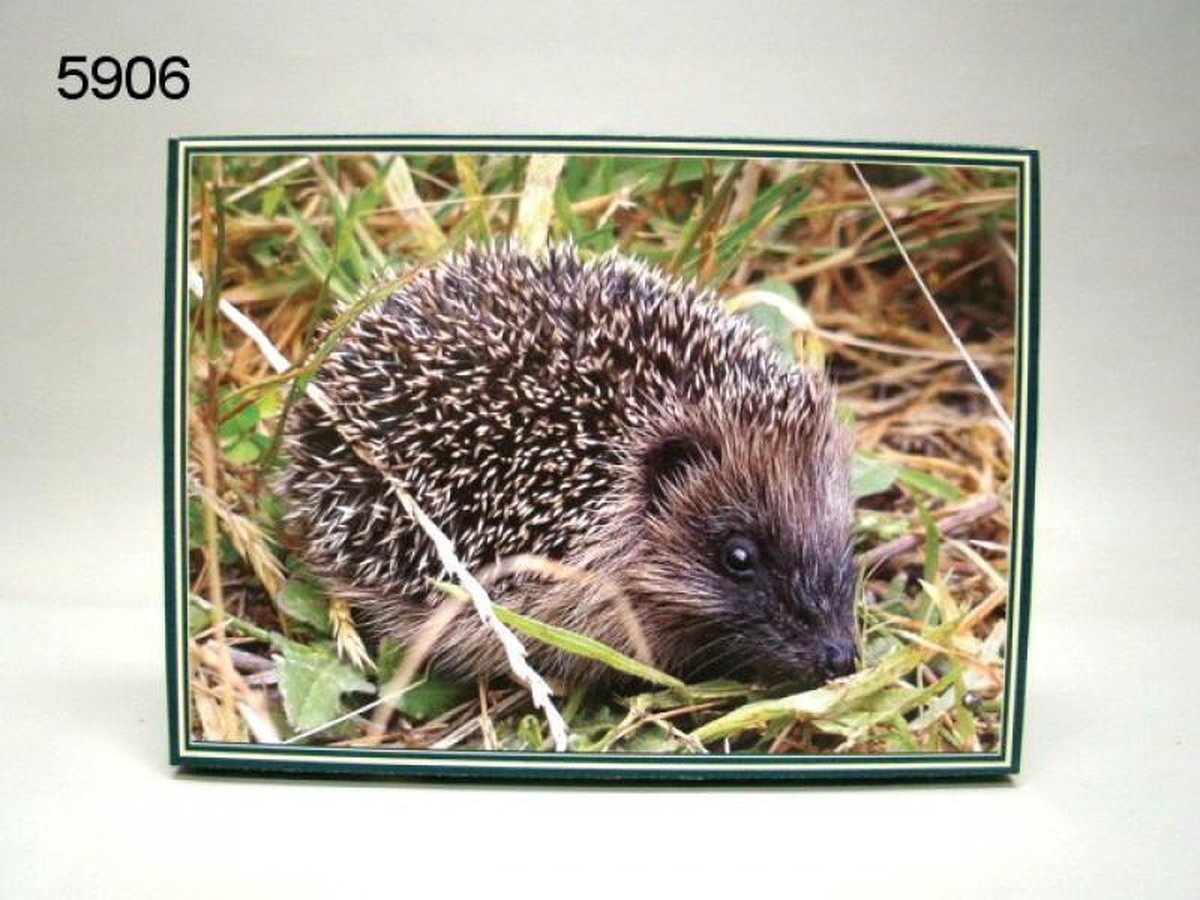 legpuzzel egel