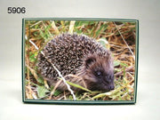 legpuzzel egel