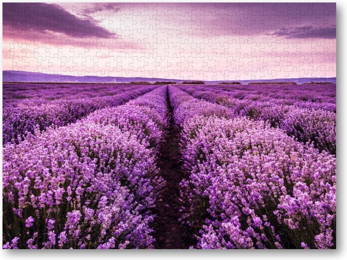 Bloeiend lavendelveld onder de paarse kleuren van de zonsondergang - 500 Stukjes puzzel voor volwassenen - Landschap - Natuur - Bloemen