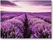 Bloeiend lavendelveld onder de paarse kleuren van de zonsondergang - 500 Stukjes puzzel voor volwassenen - Landschap - Natuur - Bloemen