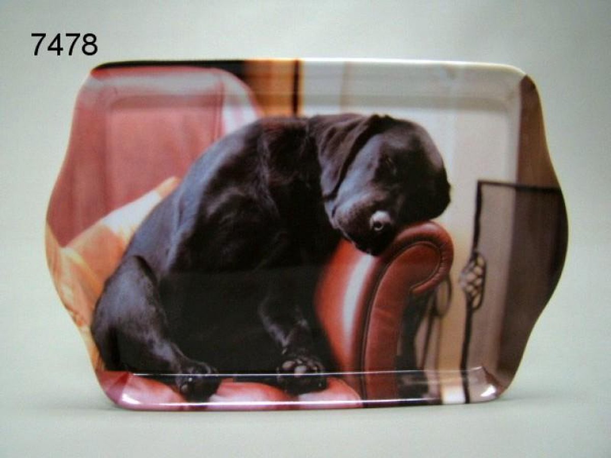 dienblad met slapende labrador