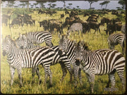 Kinderpuzzel zebra 28 cm x 21 cm