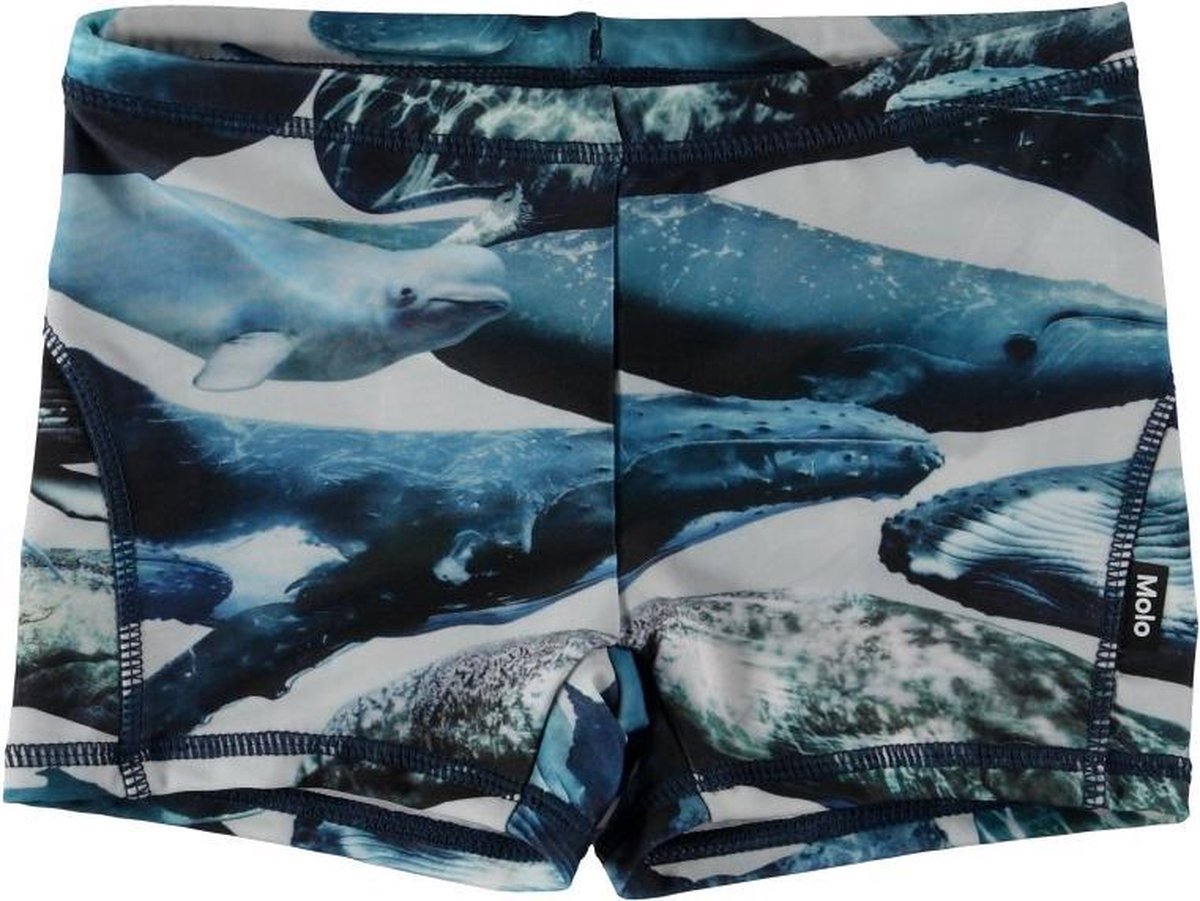 Molo - UV Zwemshort voor jongens - Norton -  Whales - maat 92-98cm
