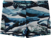 Molo - UV Zwemshort voor jongens - Norton -  Whales - maat 92-98cm