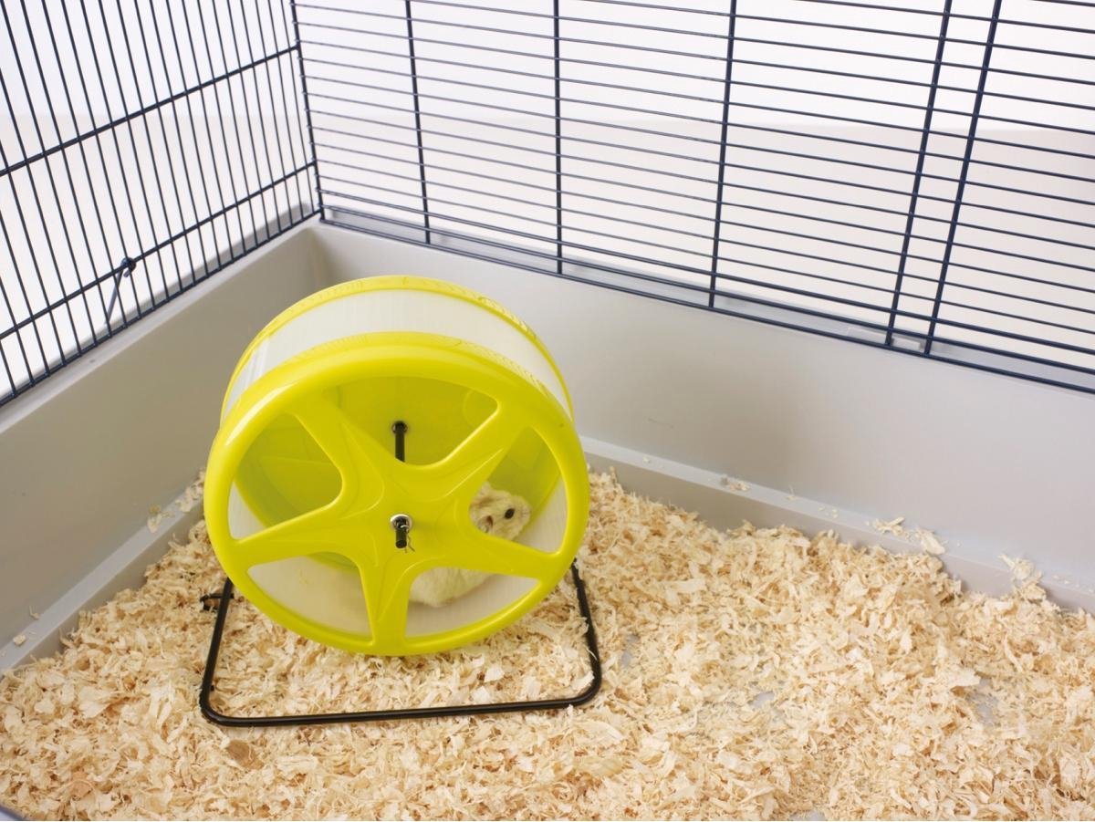 Silent Hamstermolen Groen 18 cm