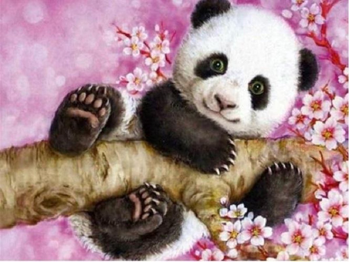 Panda - Diamond Painting - 15x20cm - Complete Set - Vierkante Diamantjes - Inclusief Tools - Stipco