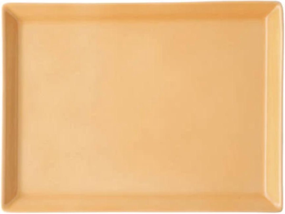 ARZBERG - Tric Orange - Vlees Vierkant 15x20cm