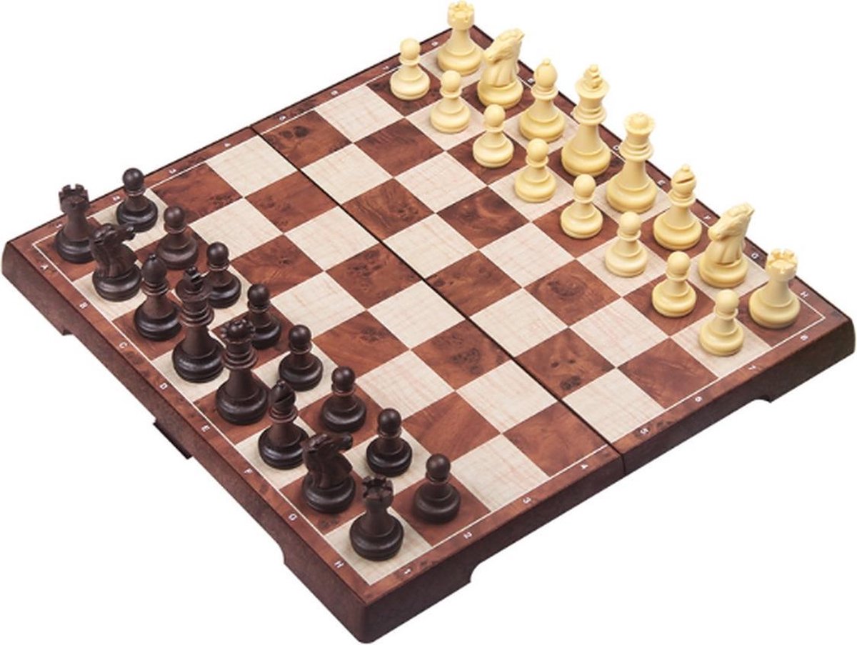Schaakbord - Schaakspel - Schaakset - Dambord - Schaakstukken - Damstukken - Damspel - Magnetisch - 31 x 31 CM