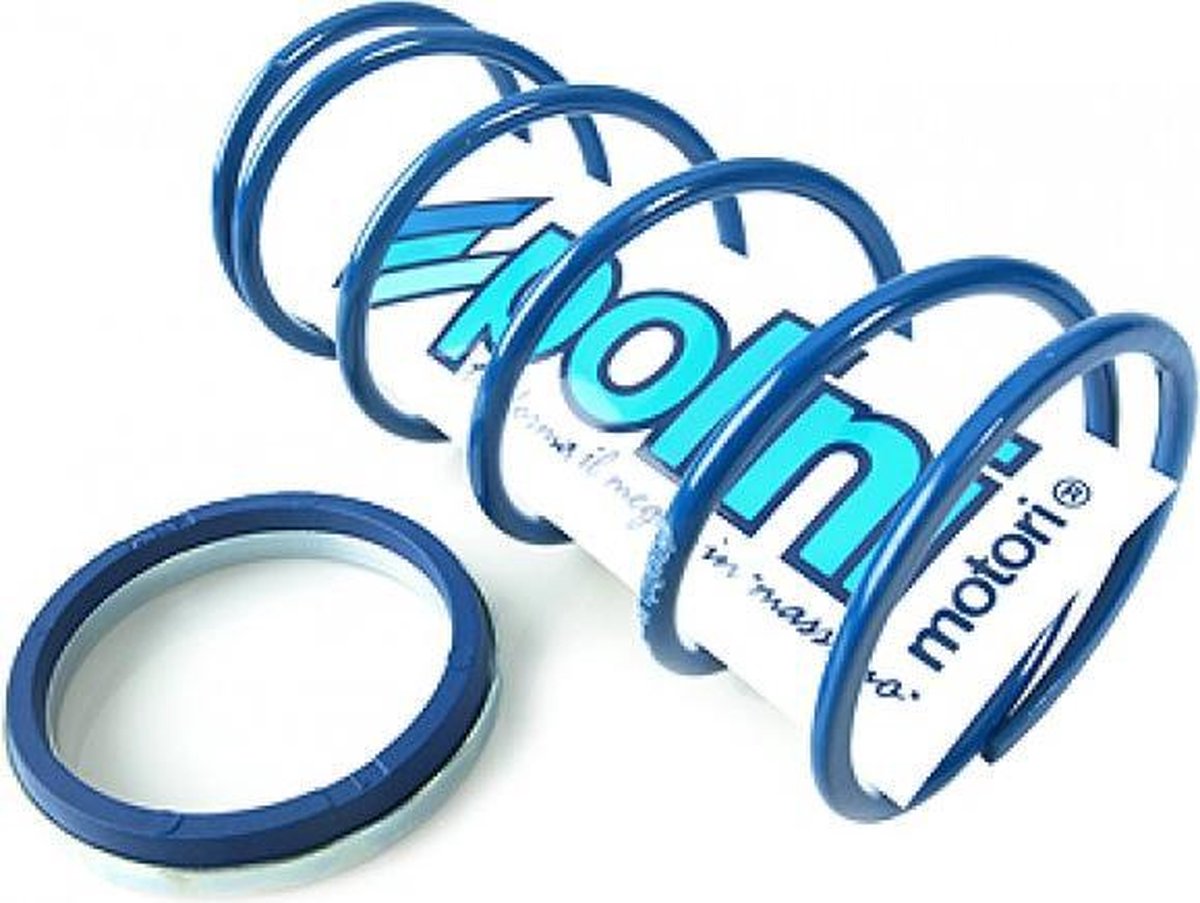 Drukveer Polini Evo +10% (3.6) Minarelli Horizontaal