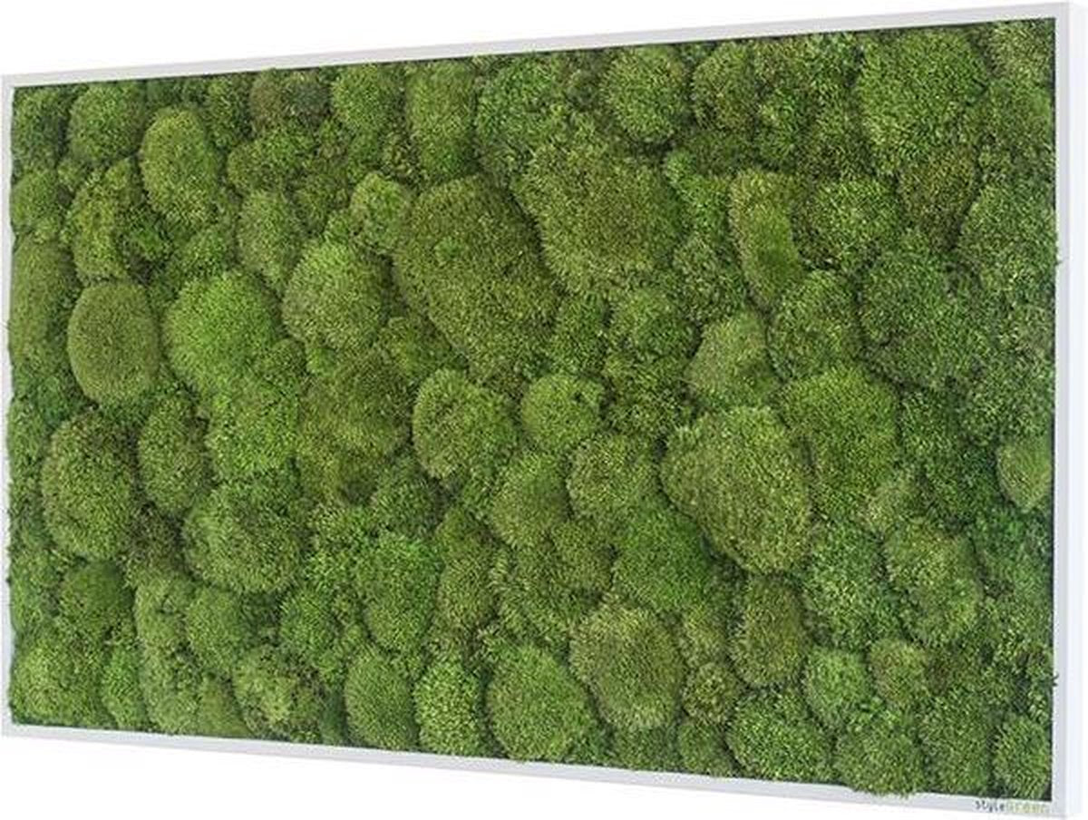 Stylegreen Verticale tuin - Pole moss - 100 x 60cm