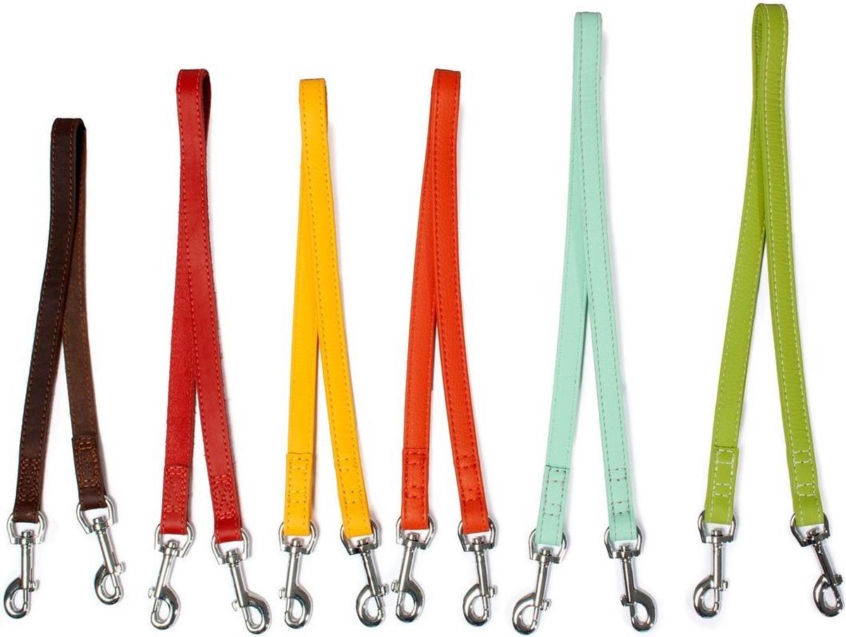 City ranger leash red