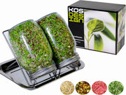 Zaden Spruiten - Kiemglas - Kiempot set - Kiempotten set - XL 1000ML - RVS - Superfood - Groente kiemen