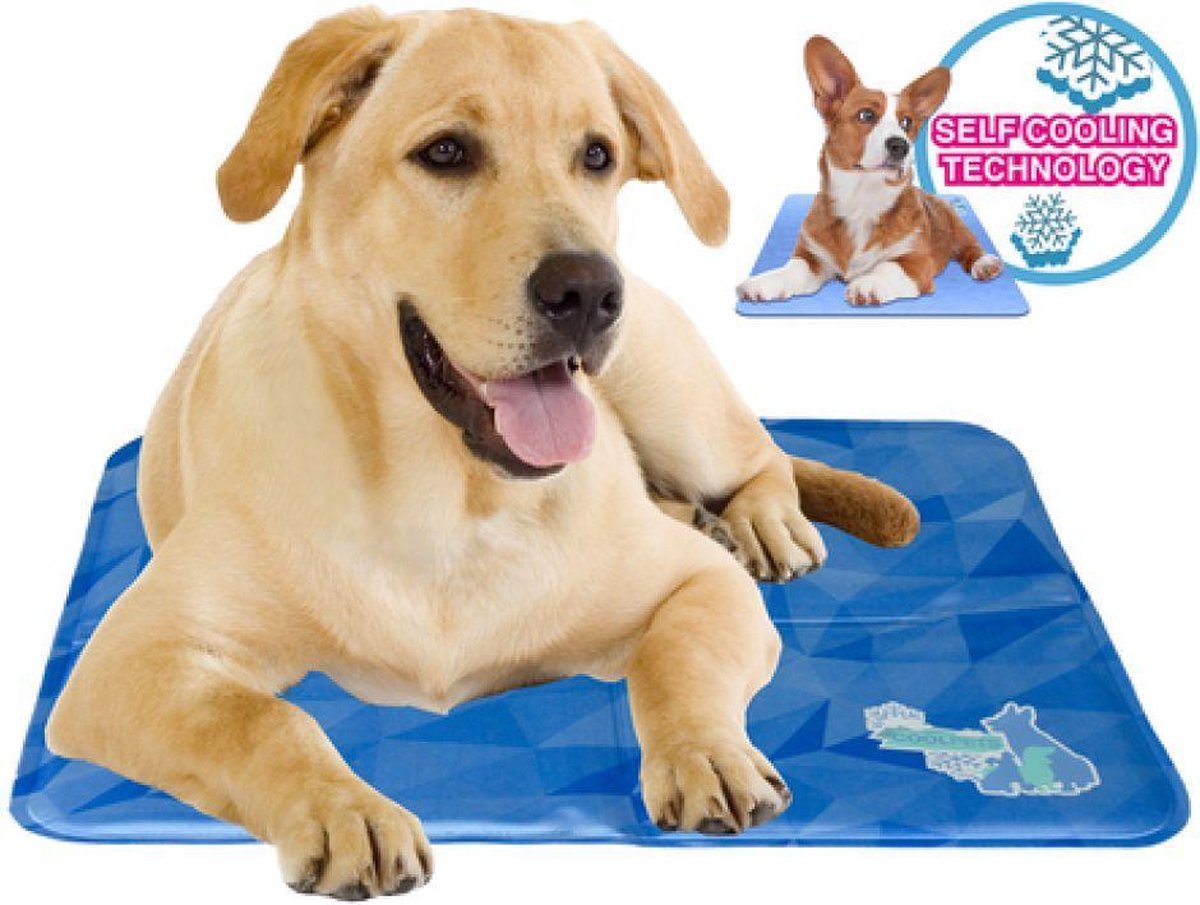 CoolPets Koelmat 24/7 - 40x30 cm - Blauw - S