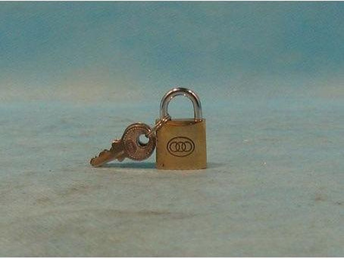 Hangslot 20mm (o.a. GMG)