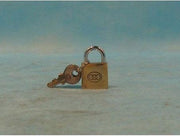 Hangslot 20mm (o.a. GMG)