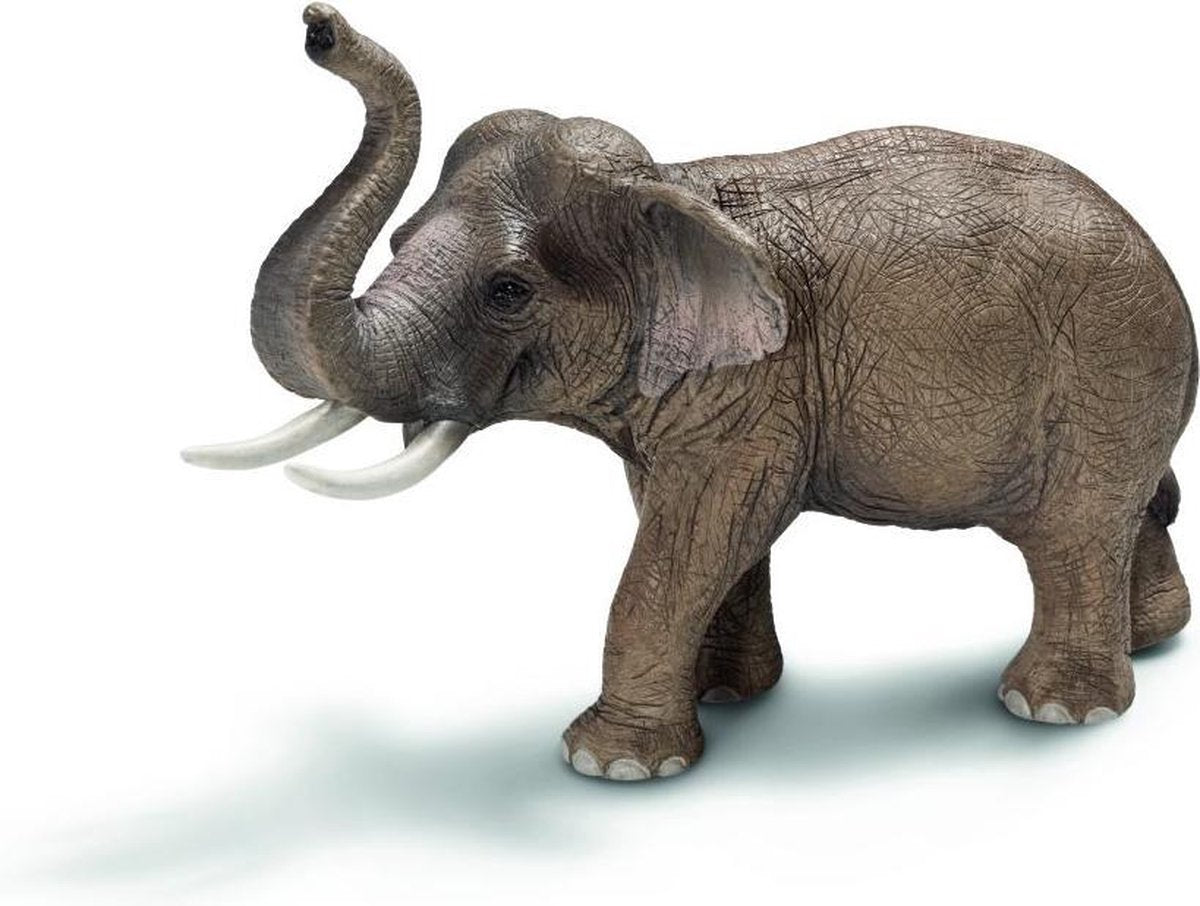 Aziatische Olifant