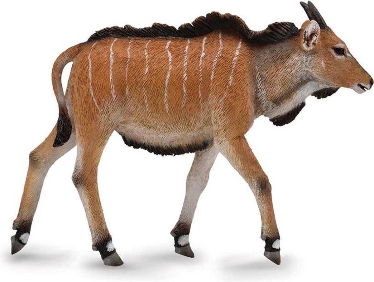 Collecta Kalf Van Reuzenelandantilope 8