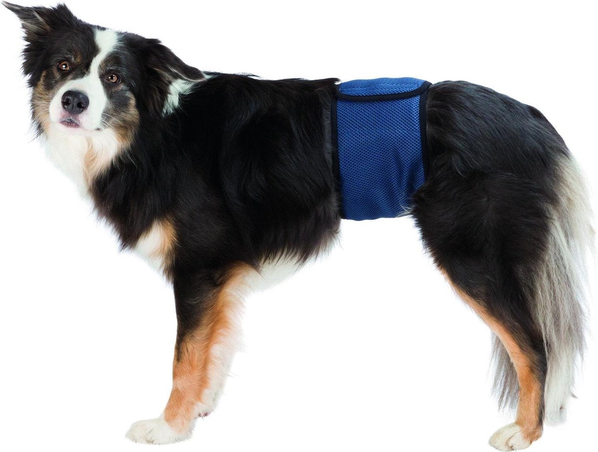 Trixie plasband voor reuen mesh donkerblauw S-m 37-45 cm