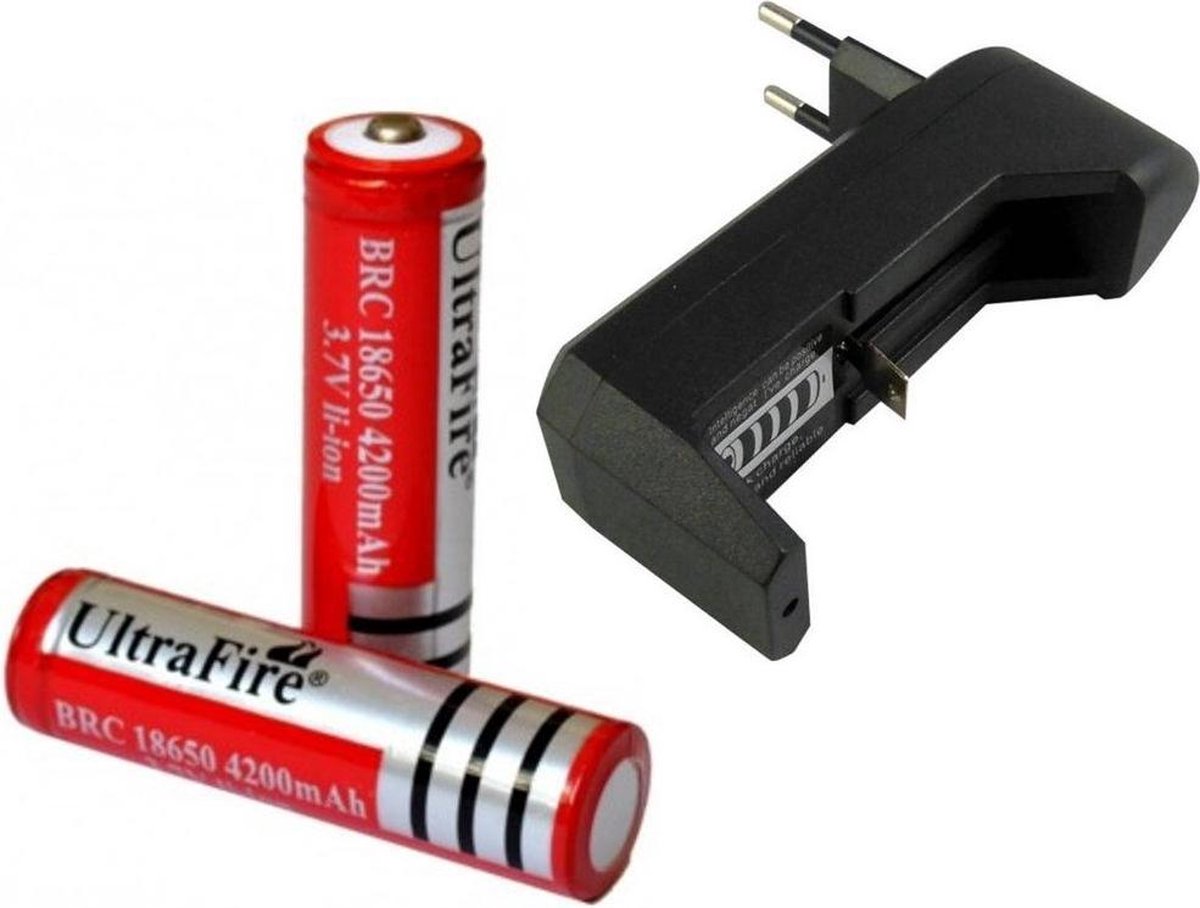 2x UltraFire Oplaadbare 18650 3.7V 4200 mAh Batterijen + Batterij Oplader