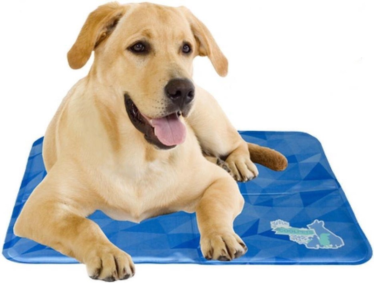 Cool Dog Koelmat 24/7 - 50x40 cm - M - Blauw