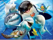 Blije Oceaandieren - Diamond Painting - 15x20cm - Complete Set - Inclusief Tools - Stipco