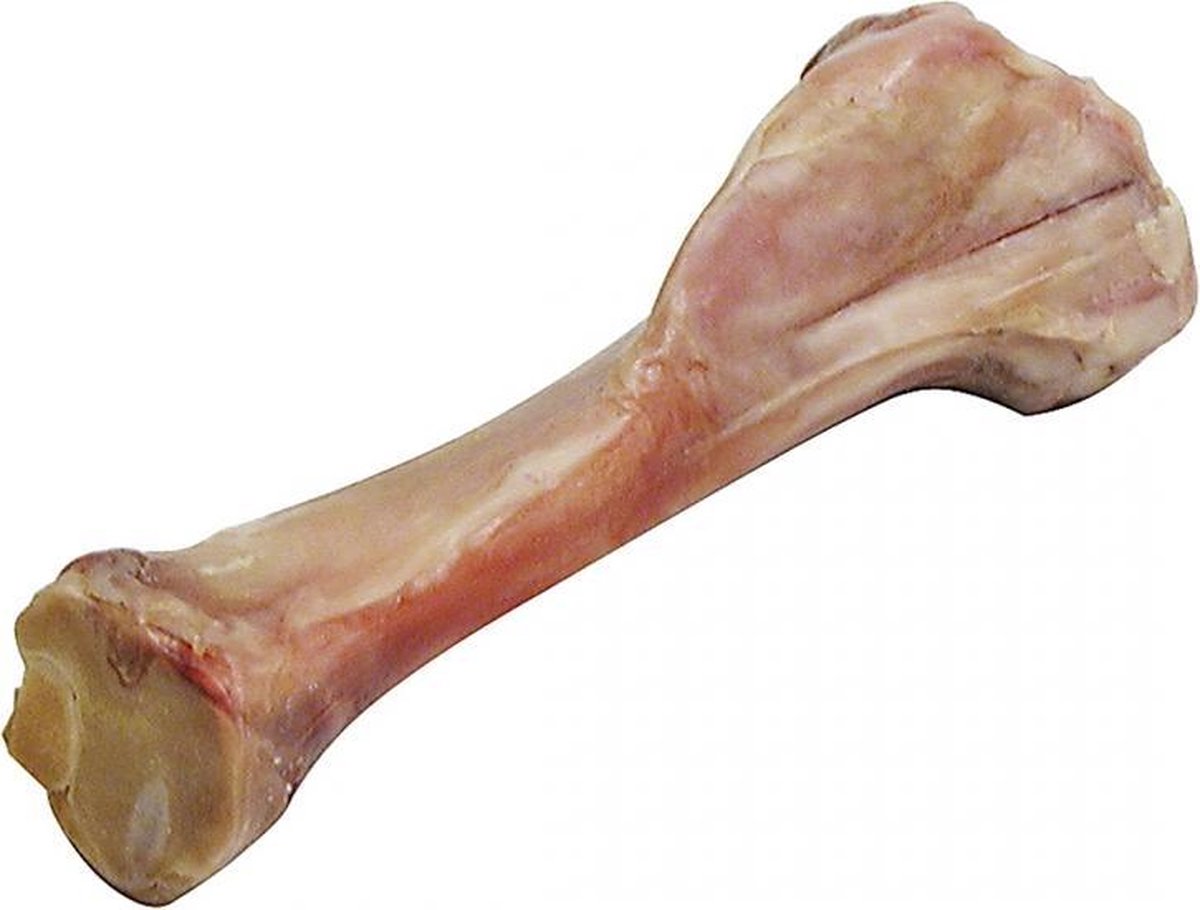 Ebi Italian ham been medio 16CM
