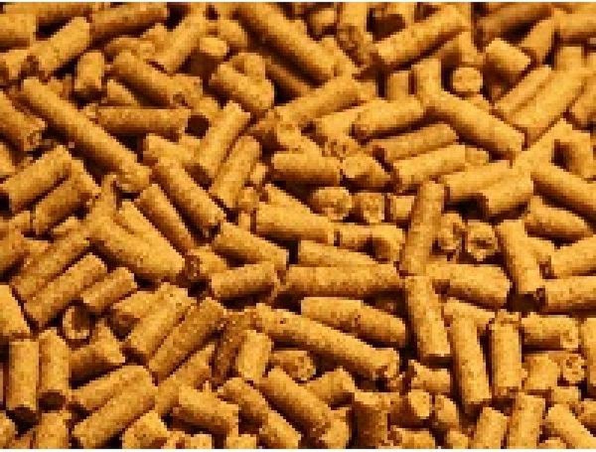 Cichlide sticks - .250 gram