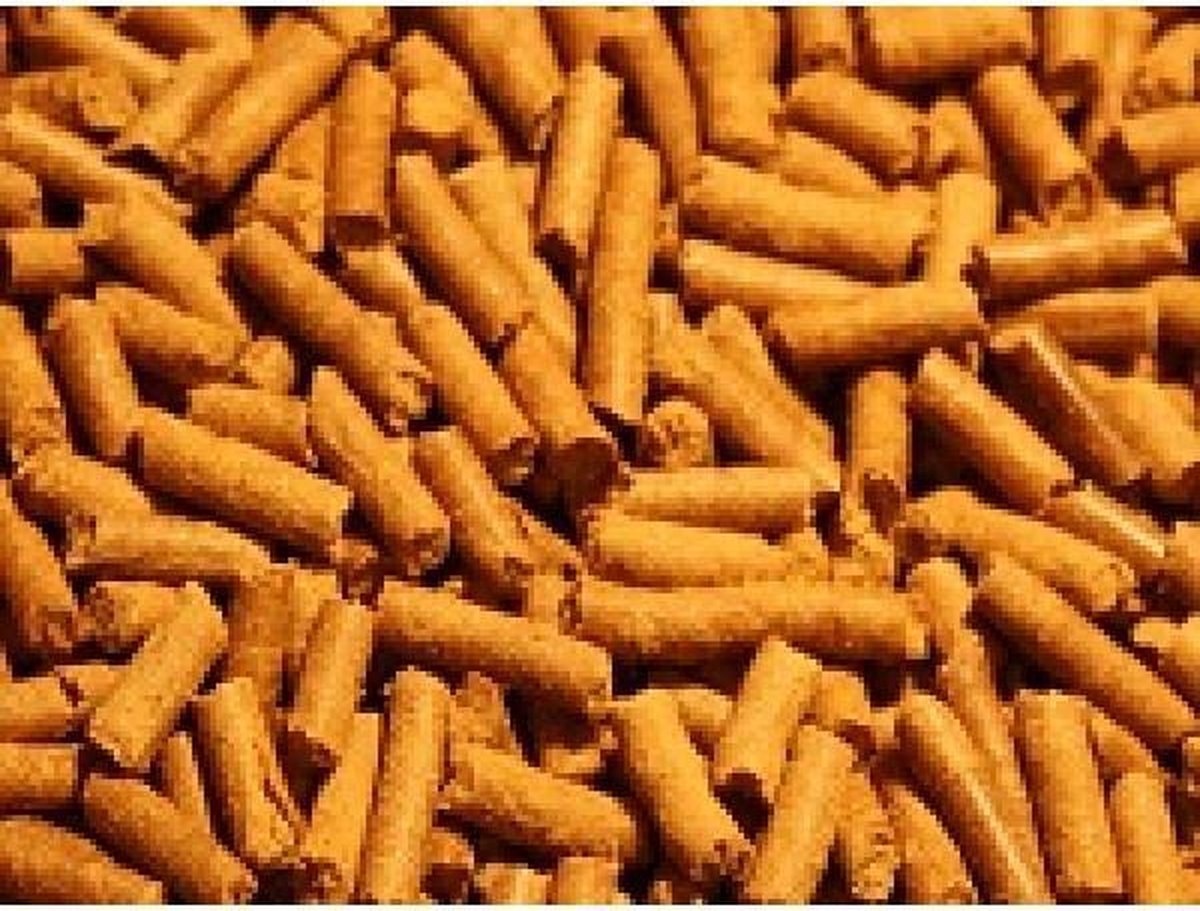 Cichlide sticks colour - .250 gram